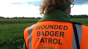 A member of Gloucestershire Against Badger Shooting's wounded badger patrol