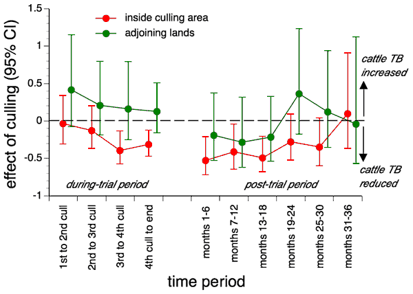 Effect of badger culling versus time period. The graph shows the proportionate increase or decrease of bovine TB over time relative to survey only areas. Hence -0.5 indicates a 50% reduction in bovine TB relative to survey-only areas