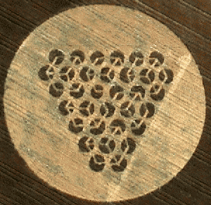 666 Triangluar crop circle formation