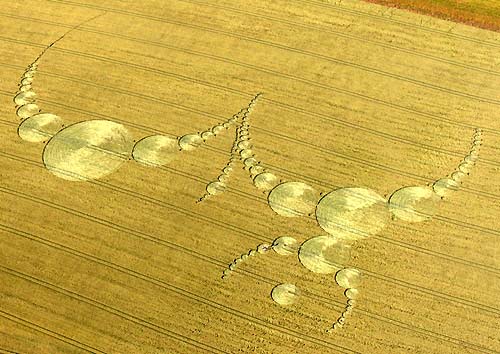 Om Crop Circle Formation at East Field on 7-7-7